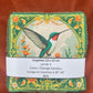 Lot de lingettes - Colibri Kaki 2