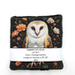 Lot de lingettes - Chouette Noir 1